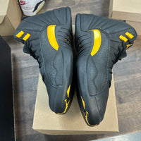 Black Taxi Jordan 12 (USED, No Box)