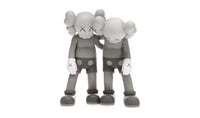Kaws Along the Way Vinyl Figure