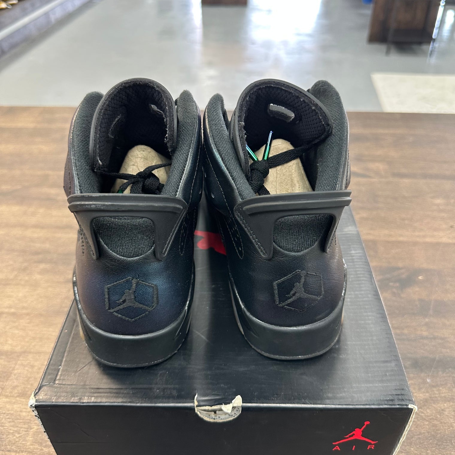 Chameleon Jordan 6 (USED)