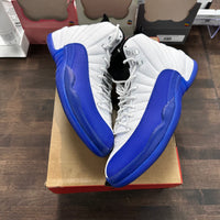 Blueberry Jordan 12 (USED)