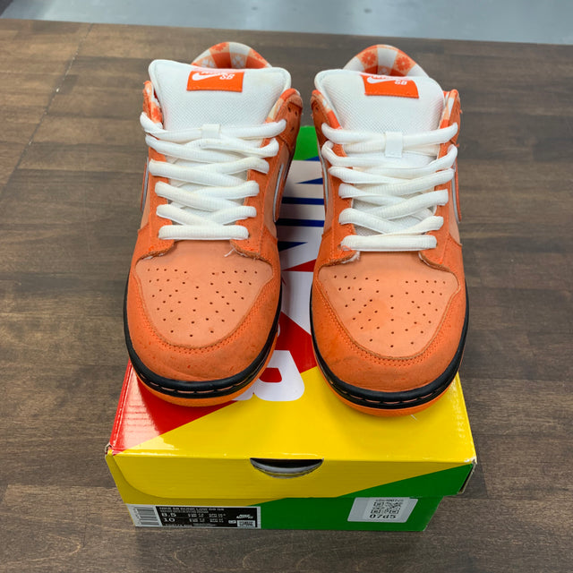 Orange Lobster SB Dunk Low (USED)