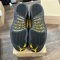 Black Taxi Jordan 12 (USED, No Box)