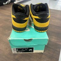 Iowa Nike SB Dunk Low (Tried On)