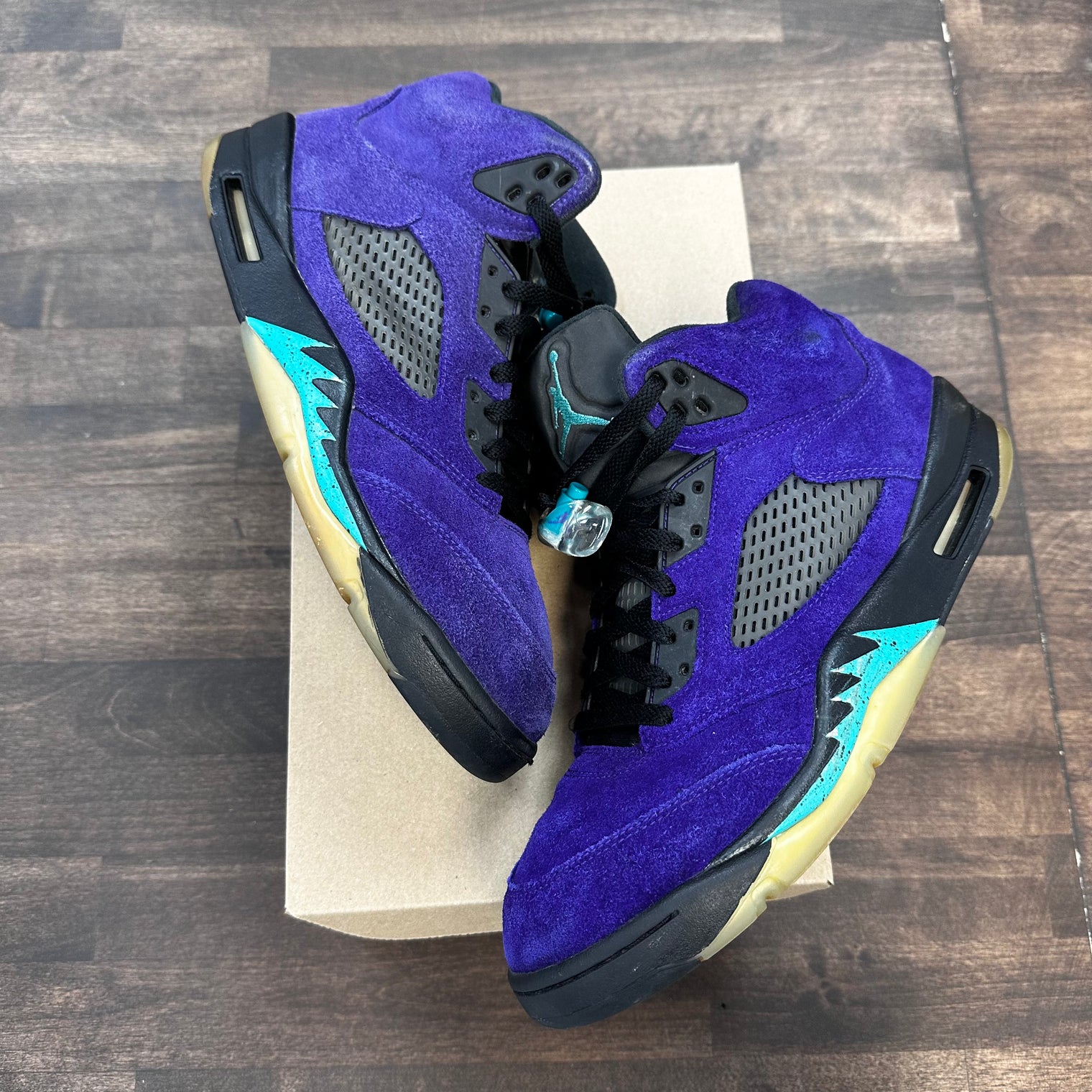 Grape Jordan 5 (USED, No Box)