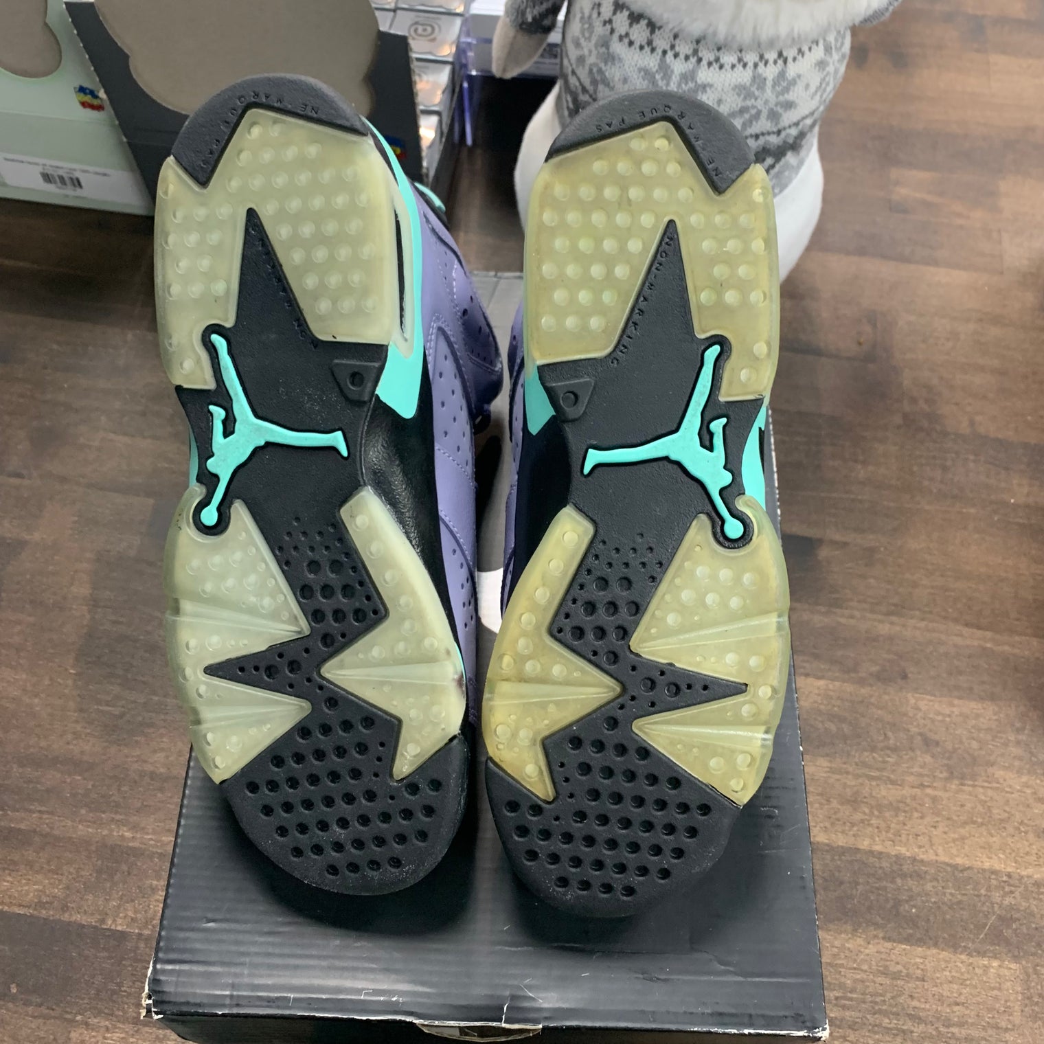 (GS) Iron Purple Jordan 6 (USED)