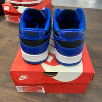Cobalt Nike Dunk Low (USED)