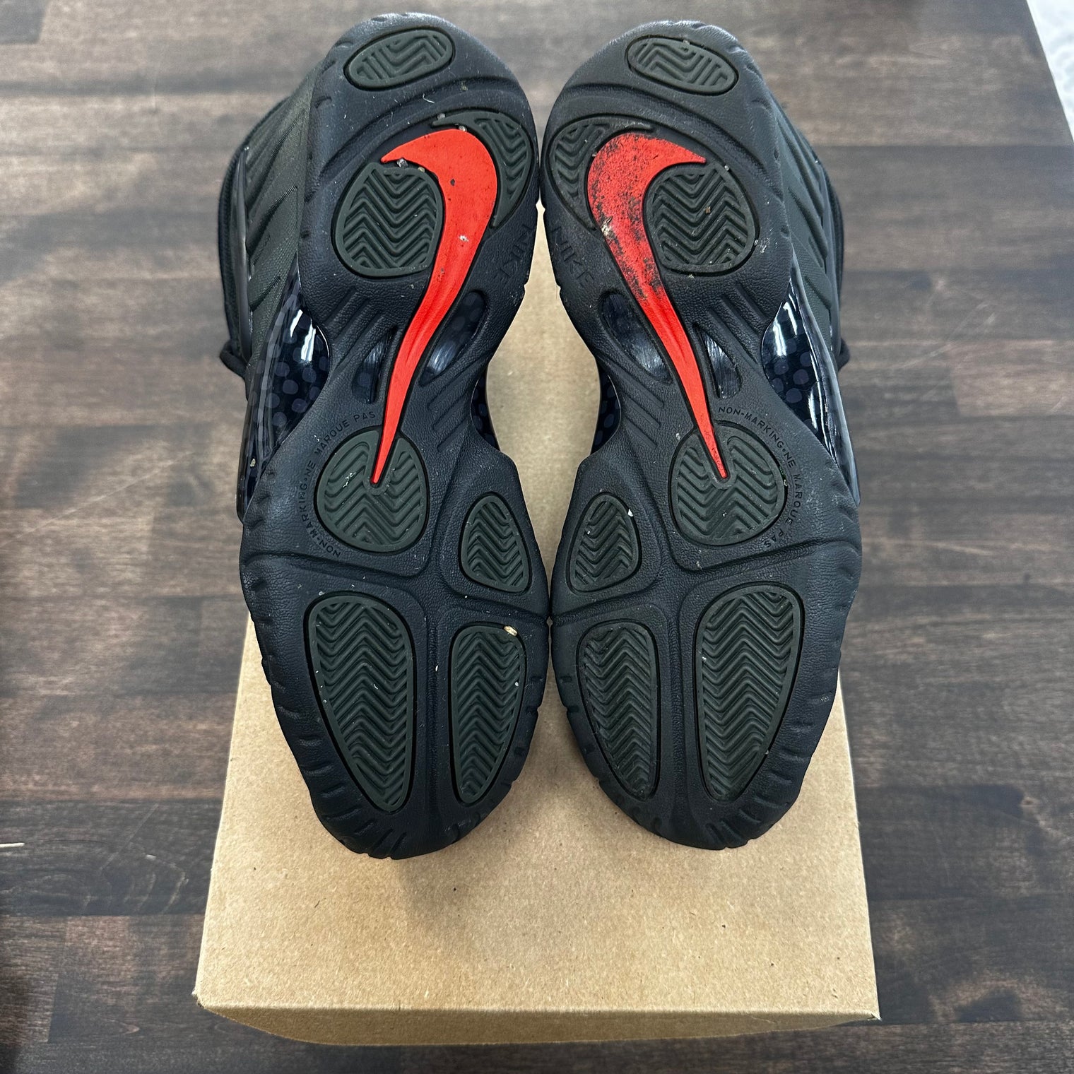 Sequoia Nike Foamposite (USED, No Box)