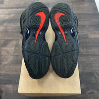 Sequoia Nike Foamposite (USED, No Box)
