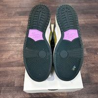 Alexis Salblone Chameleon SB Dunk Low (USED)