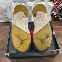 Grape Jordan 5 (USED)