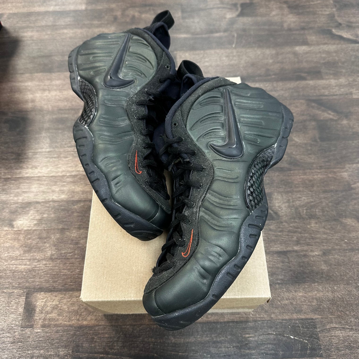 Sequoia Foamposite One (USED, No Box)