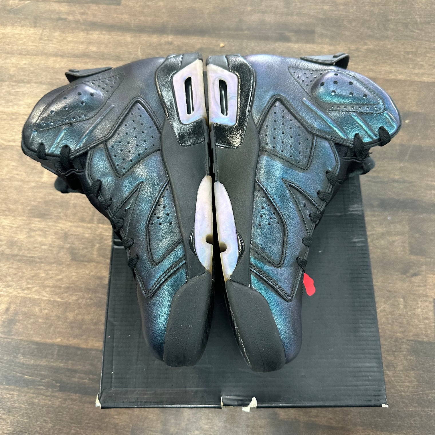 Chameleon Jordan 6 (USED)