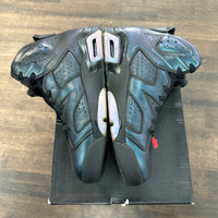 Chameleon Jordan 6 (USED)