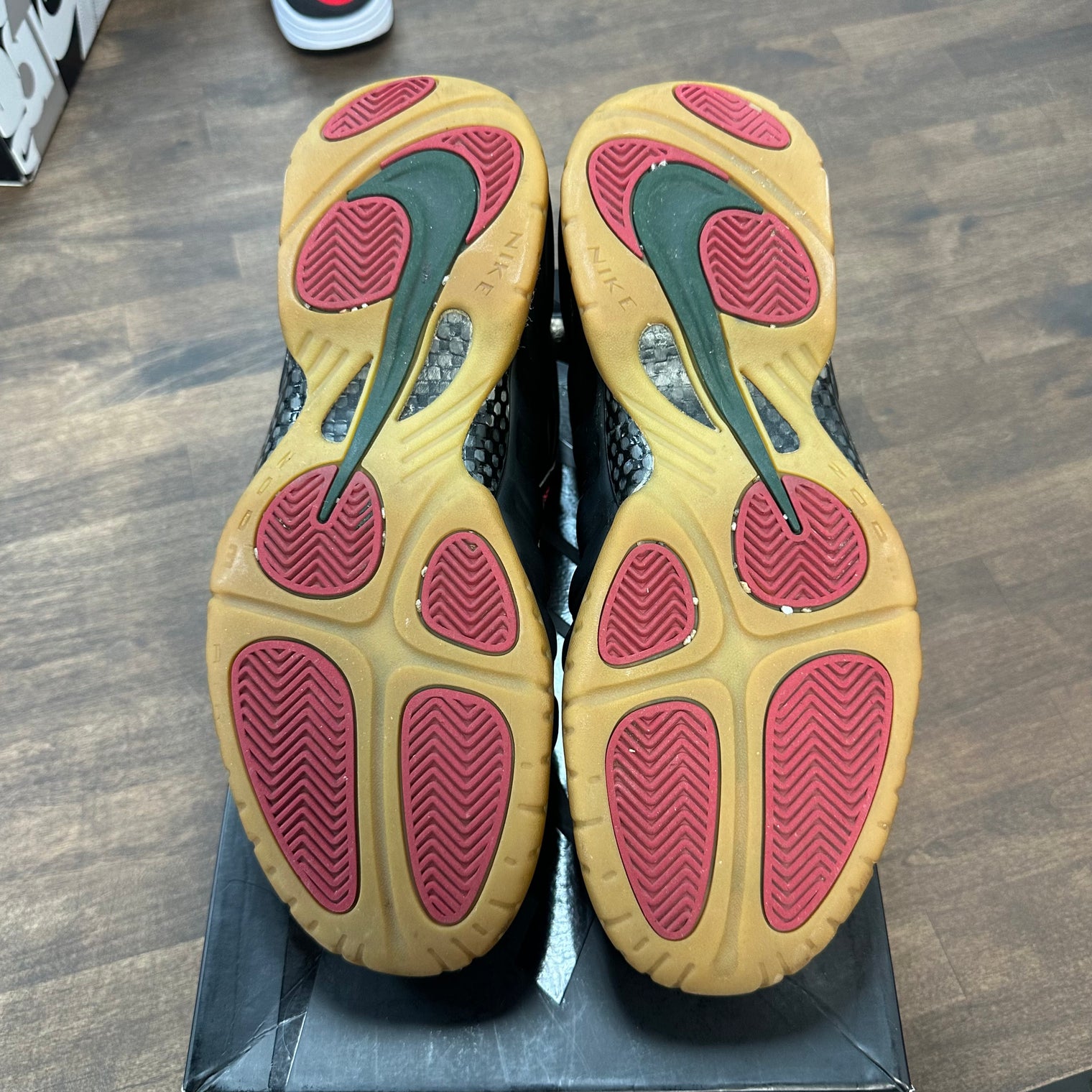 Gucci Nike Foamposite (USED)