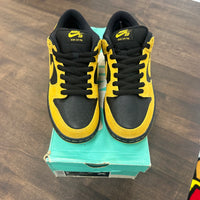 Iowa Nike SB Dunk Low (Tried On)
