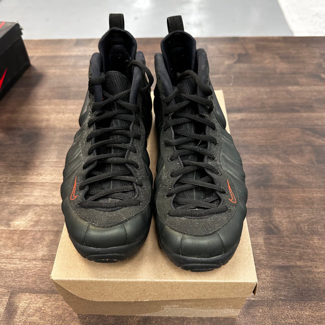 Sequoia Foamposite One (USED, No Box)