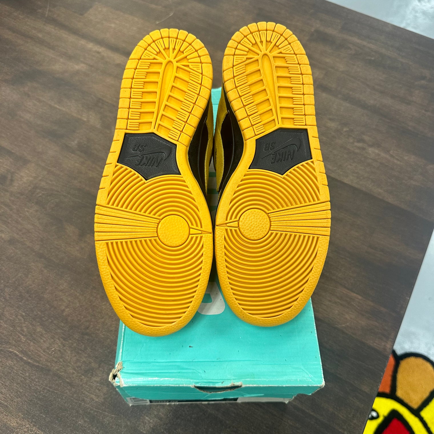 Iowa Nike SB Dunk Low (Tried On)