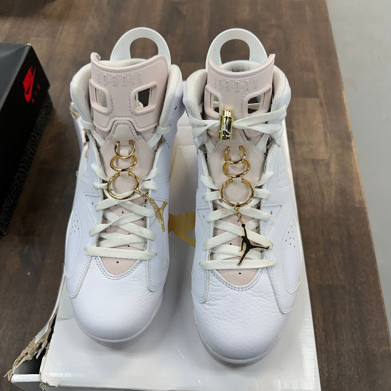 Girls That Hoop Jordan 6 (W) (USED)