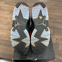 Chameleon Jordan 6 (USED)