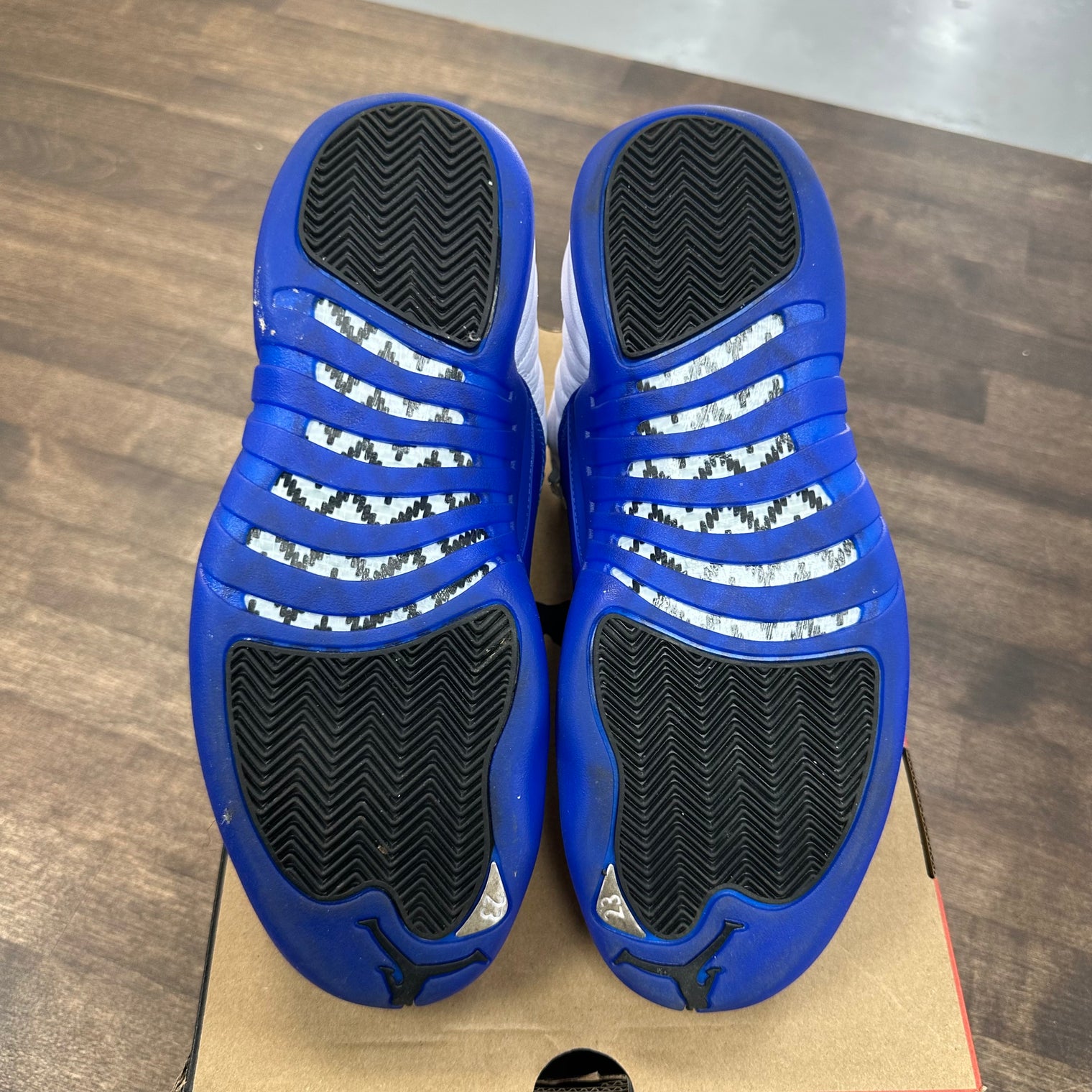 Blueberry Jordan 12 Retro (Lightly worn)