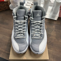 Jordan 12 Stealth 2022 (USED, no box)