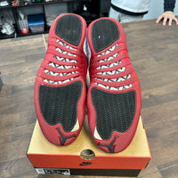 Cherry Jordan 12 (USED)