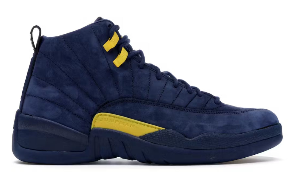 Michigan Jordan 12