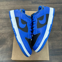 Cobalt Nike Dunk Low (USED,NO BOX)