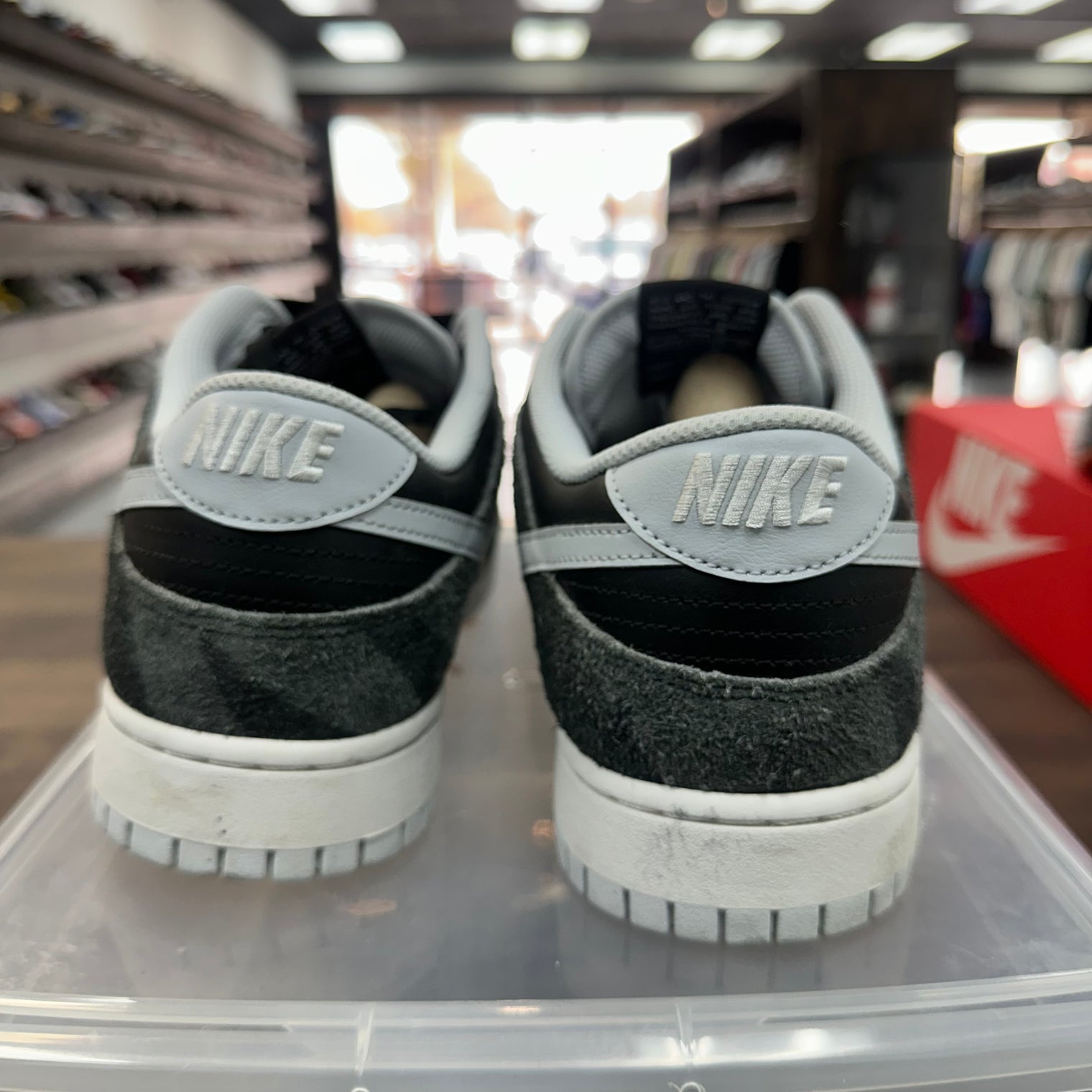 Zebra Dunk Low (USED, No Box)