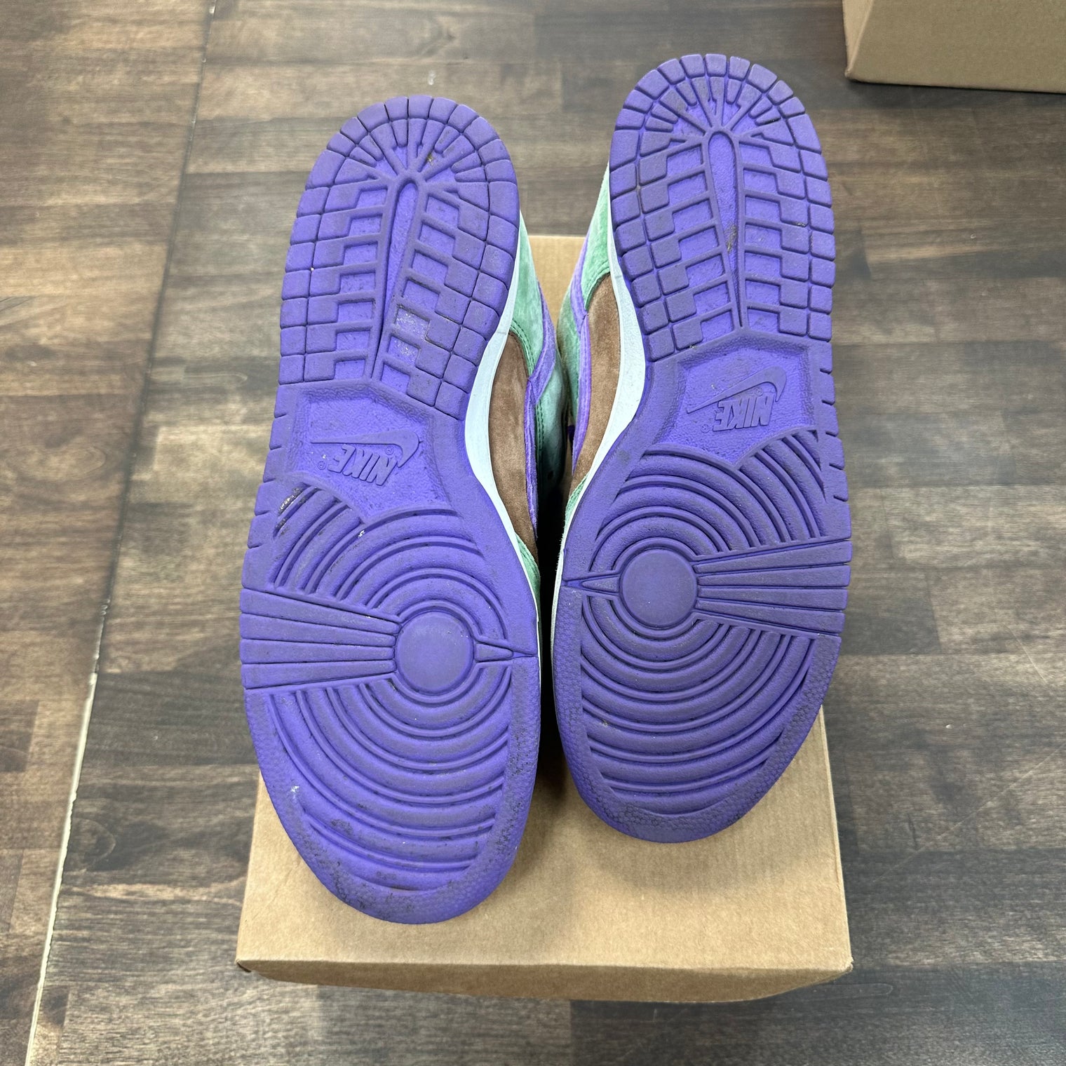Veneer Nike Dunk Low (USED,NO BOX)