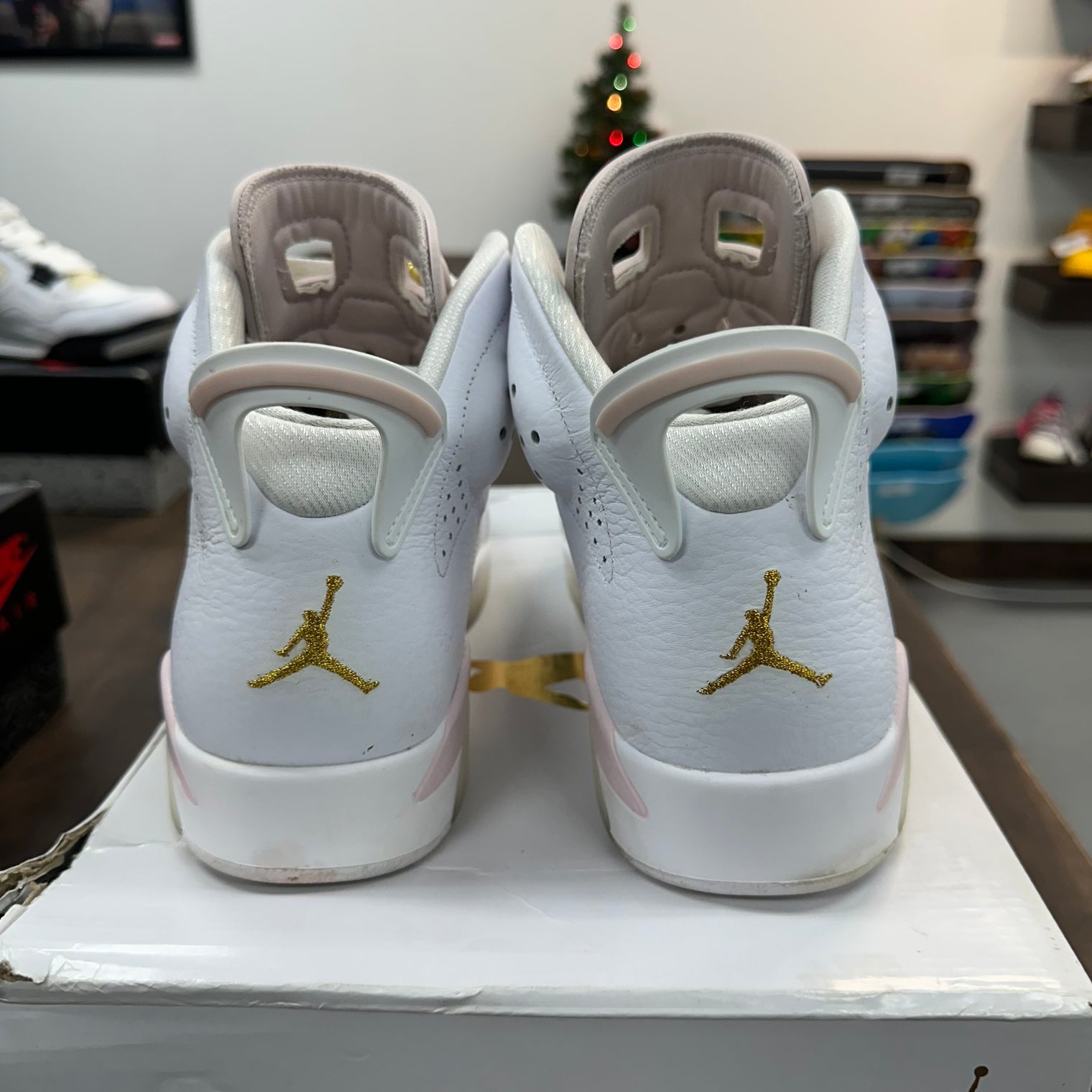 Girls That Hoop Jordan 6 (W) (USED)