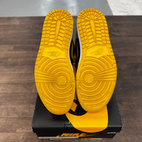 Pollen Jordan 1 High (USED)