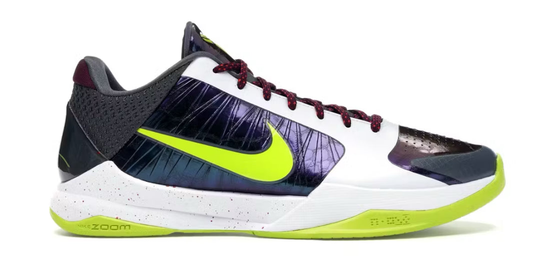 Chaos Kobe 5 Protro