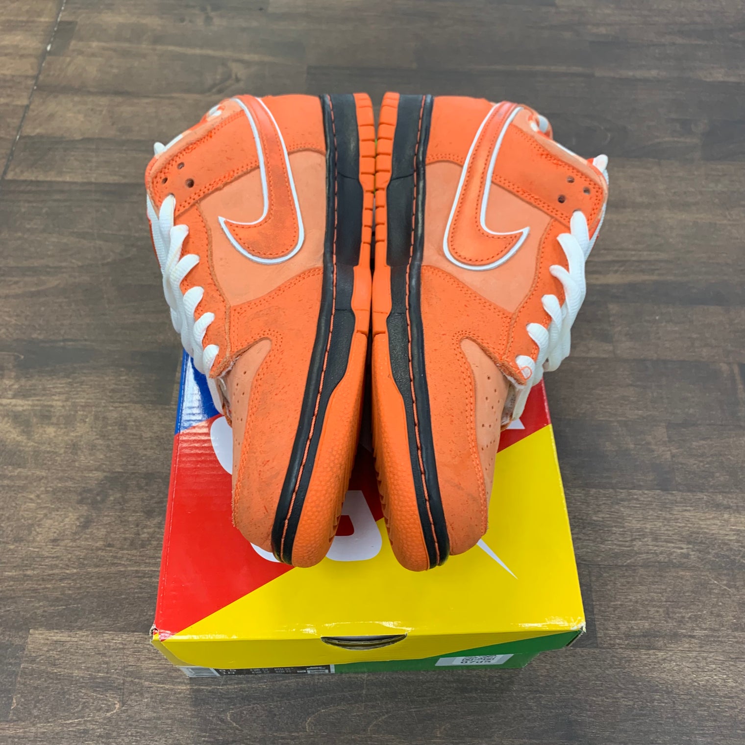 Orange Lobster SB Dunk Low (USED)