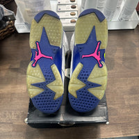 (GS) Fierce Green Jordan 6 (USED)