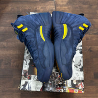 Michigan Jordan 12 (USED)