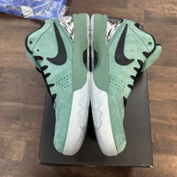 Girl Dad Kobe Kobe 4 Protro (USED)