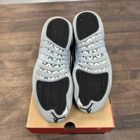 Baron Jordan 12 (USED)