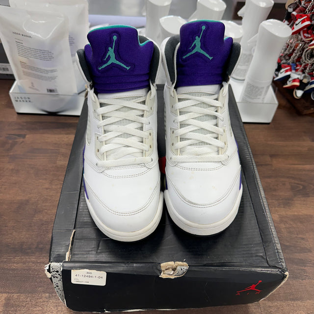 Grape Jordan 5 (USED)