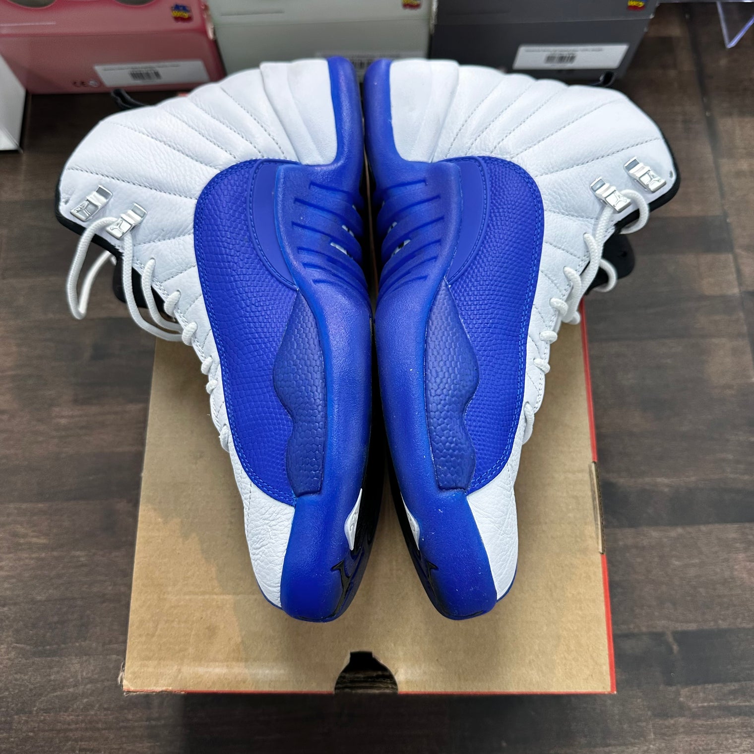 Blueberry Jordan 12 (USED)
