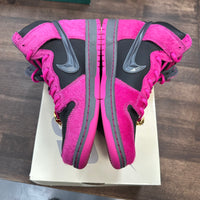 Run the Jewel SB Dunk High (USED)