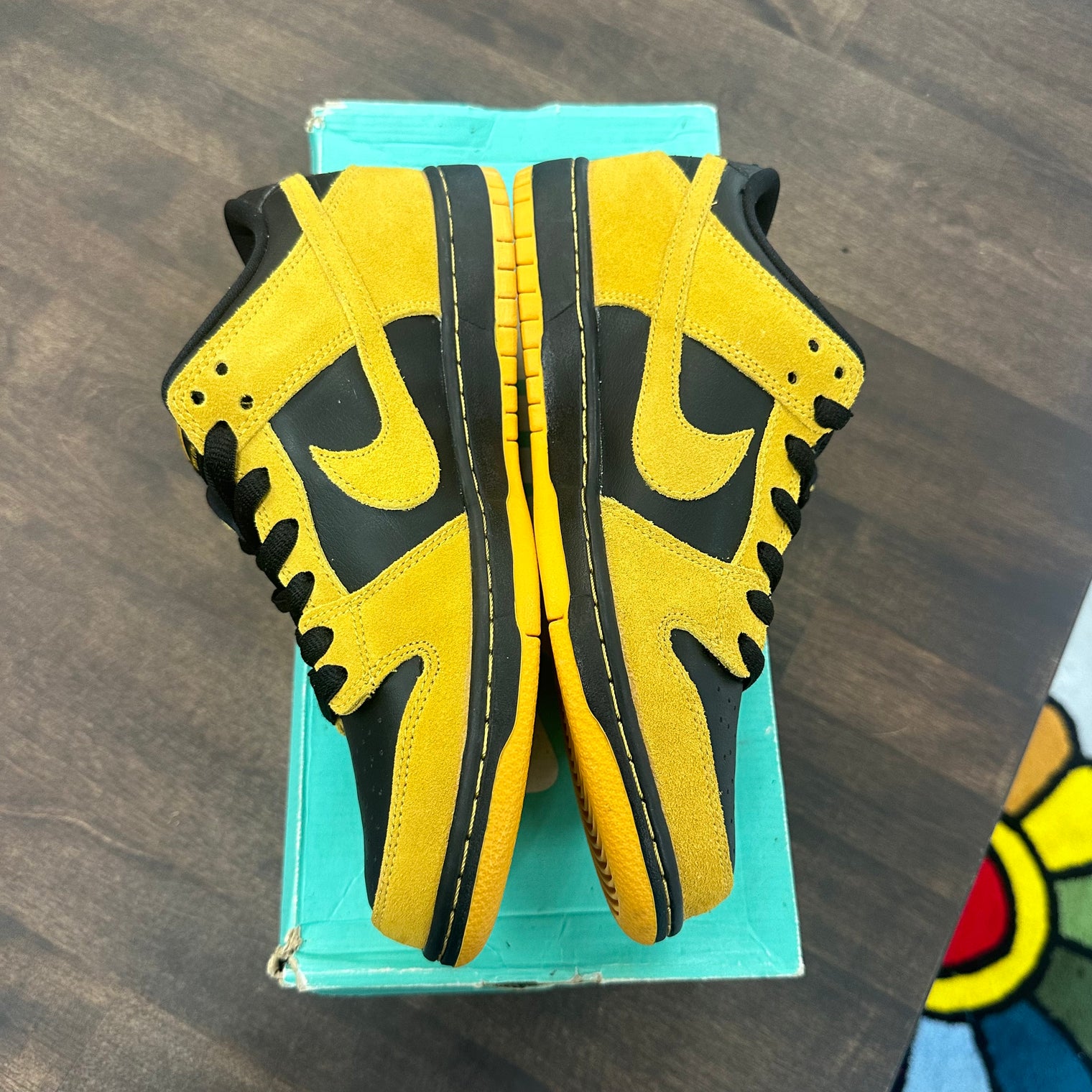 Iowa Nike SB Dunk Low (Tried On)