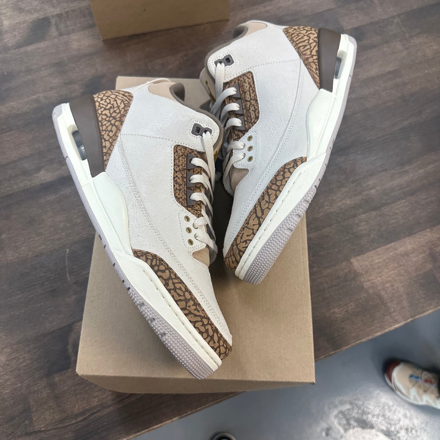 Palomino Jordan 3 (USED, No Box)