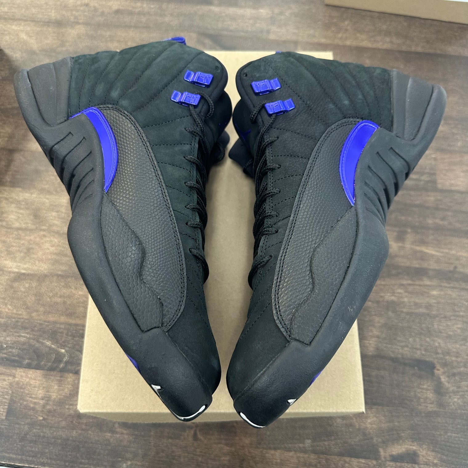 Dark Concord Jordan 12 (USED, No Box)