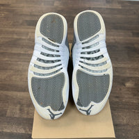 Stealth Jordan 12 Retro (USED, no box)