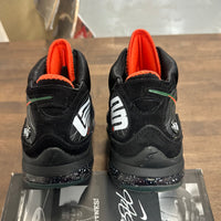 FAMU Nike LeBron 7 (USED)