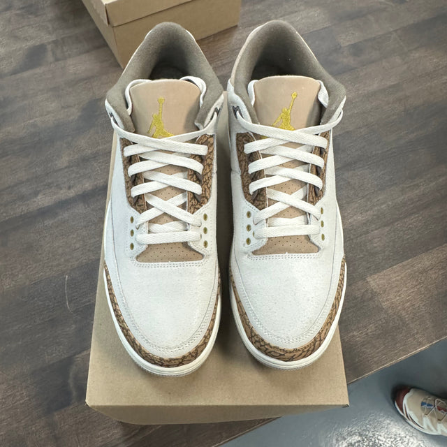 Palomino Jordan 3 (USED, No Box)