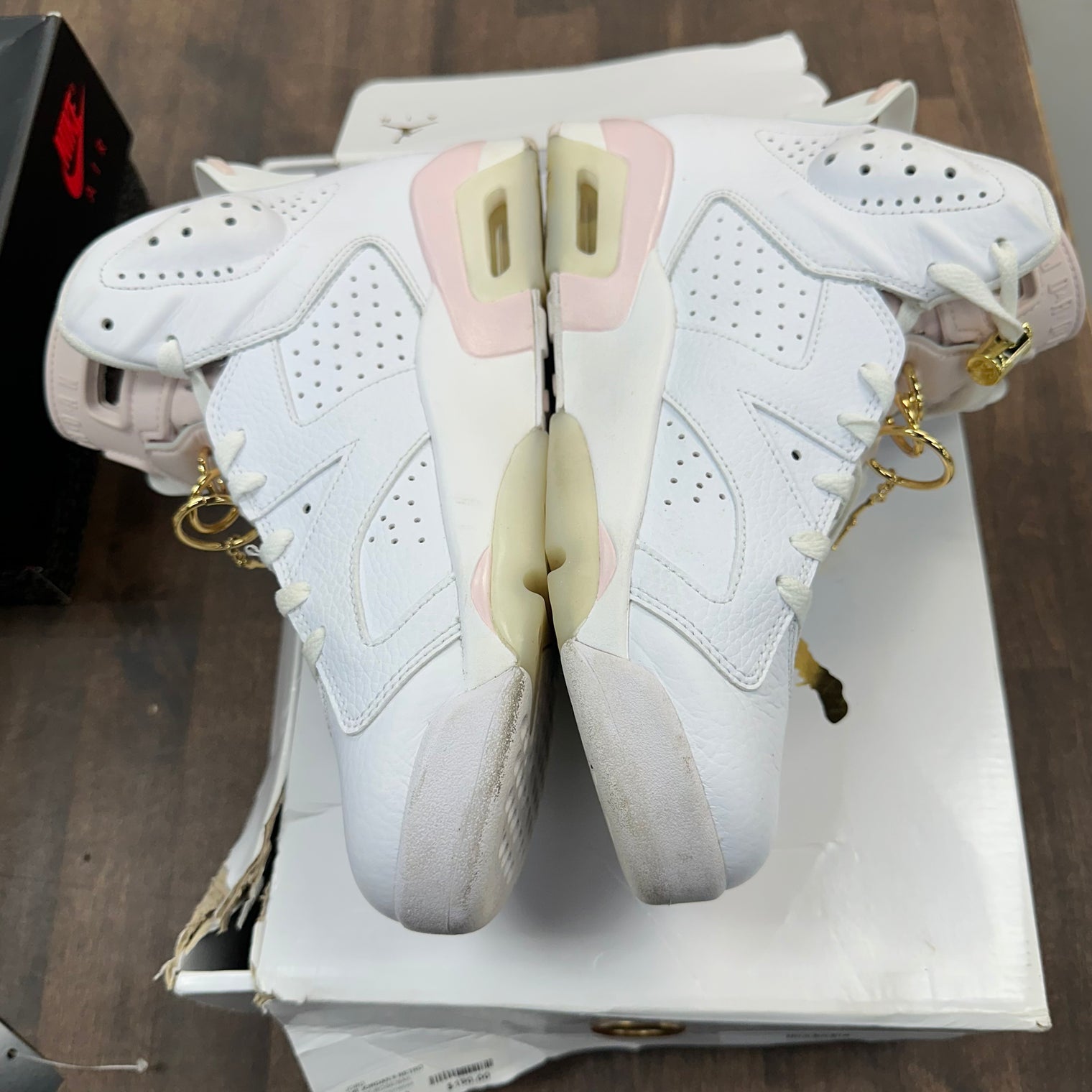 Girls That Hoop Jordan 6 (W) (USED)