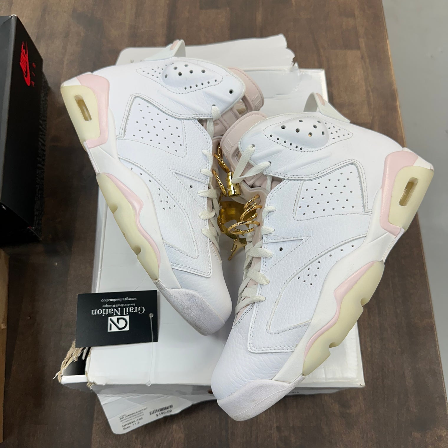 Girls That Hoop Jordan 6 (W) (USED)
