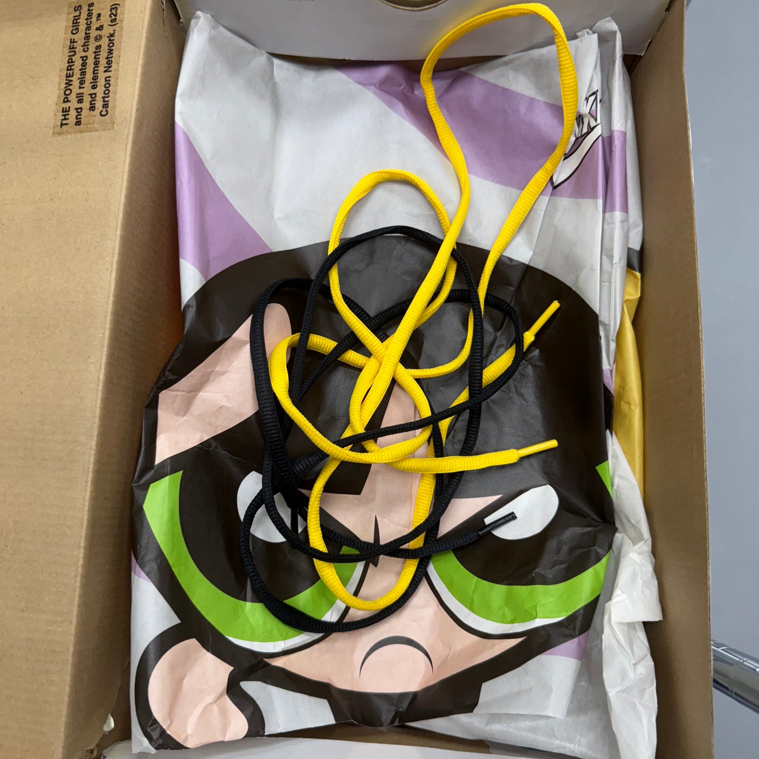 Bubbles Power Puff SB Dunk Low (USED)